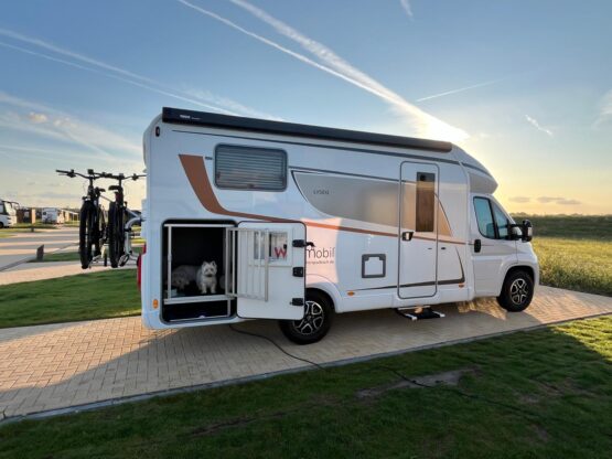 {{brizy_dc_image_alt entityId=